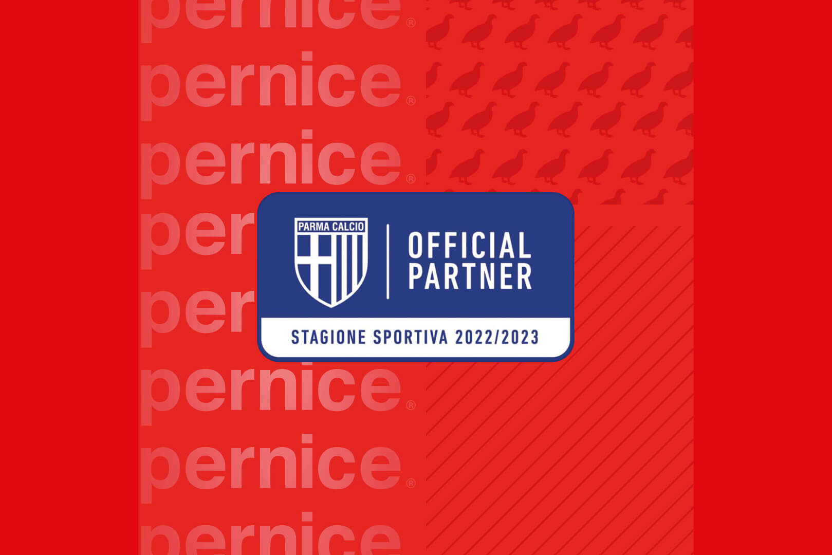 immagine official partner parma calcio