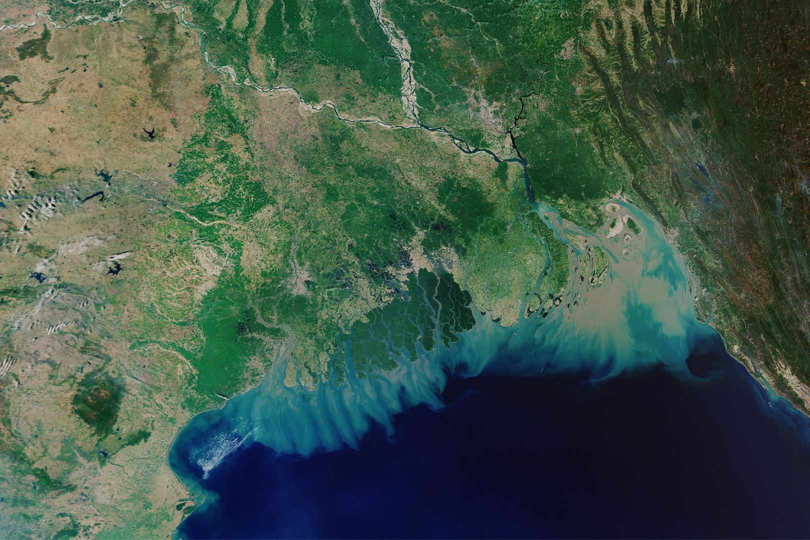 immagine rivista rotary marzo